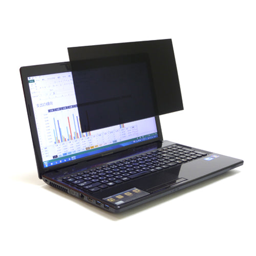 MS2-PF125W