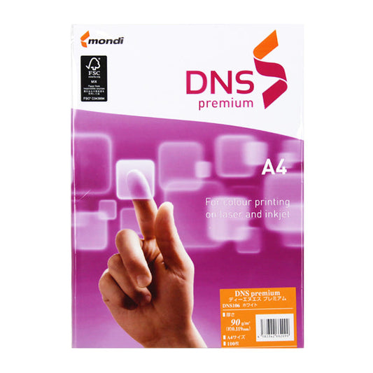 DNS106