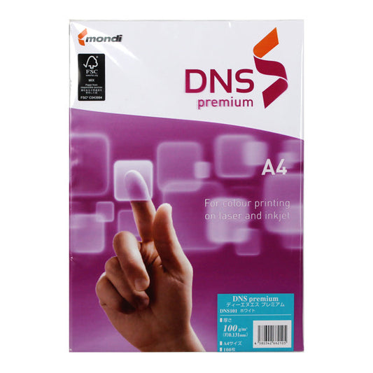 DNS101