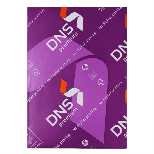 DNS504